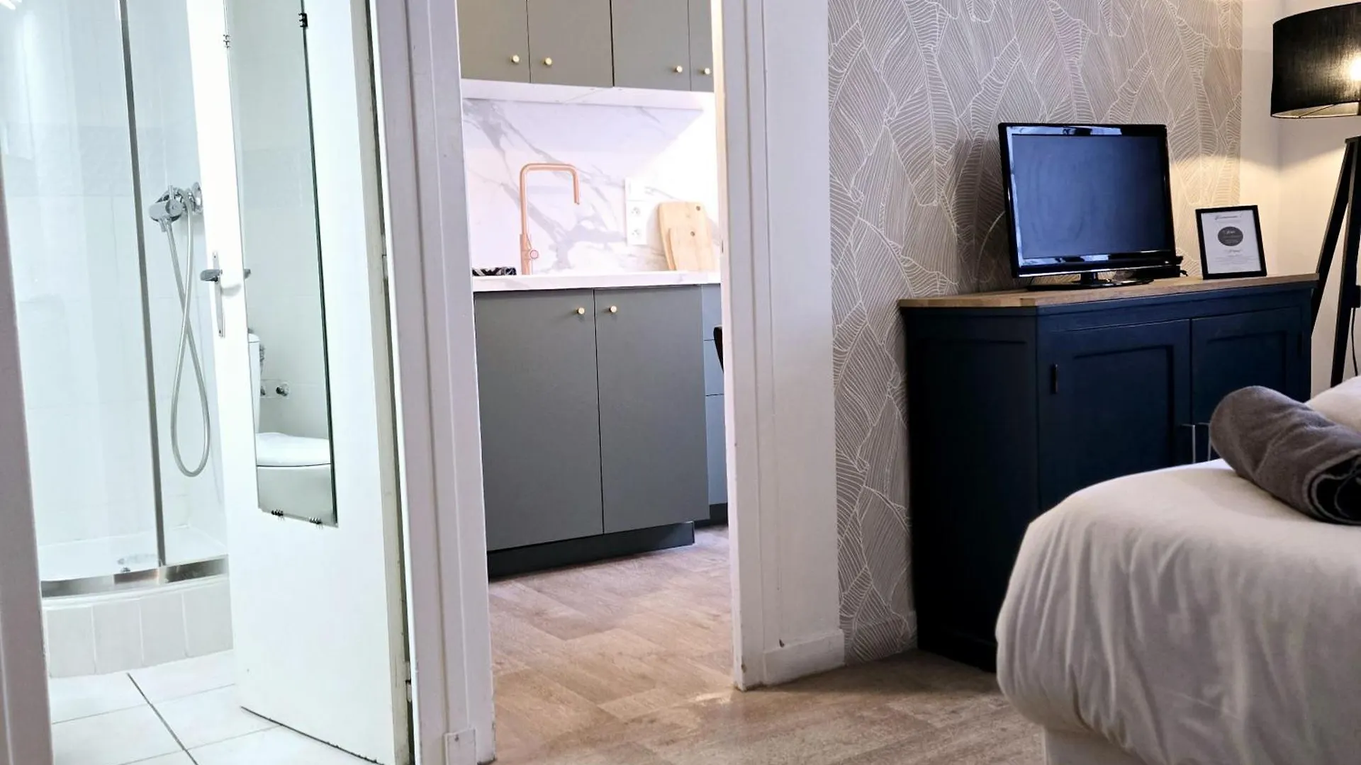 Apartment Appartements Confidence Hyper Centre Calme - Sejouraixlesbains Aix-les-Bains